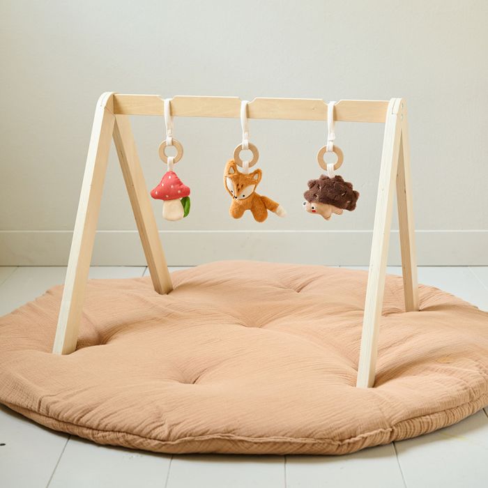 Baby Gym